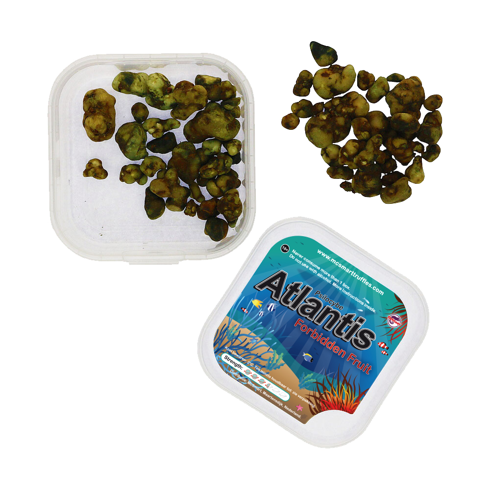 McSmart Atlantis - Top View